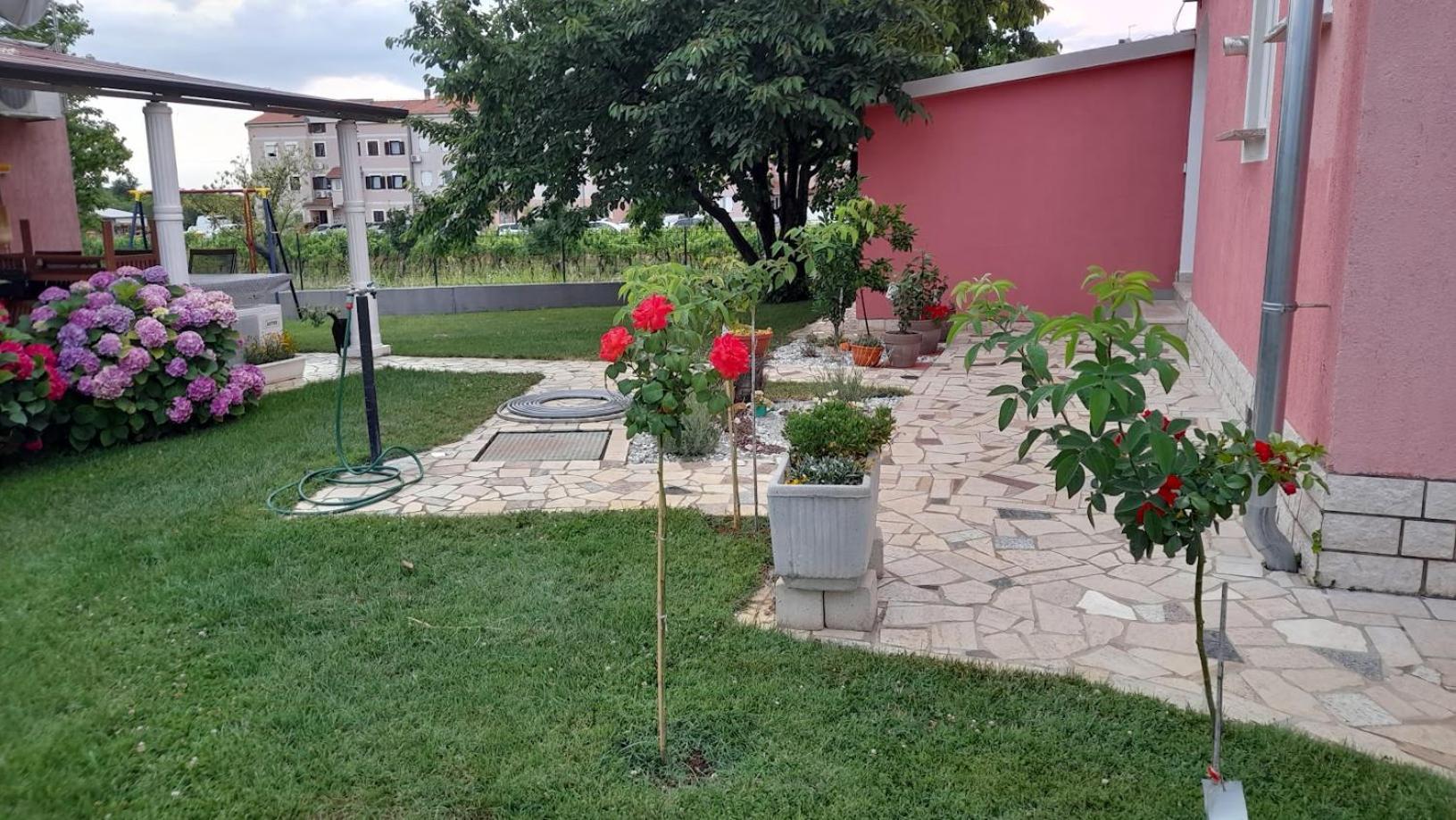 Apartments Dragica Porec Exterior photo